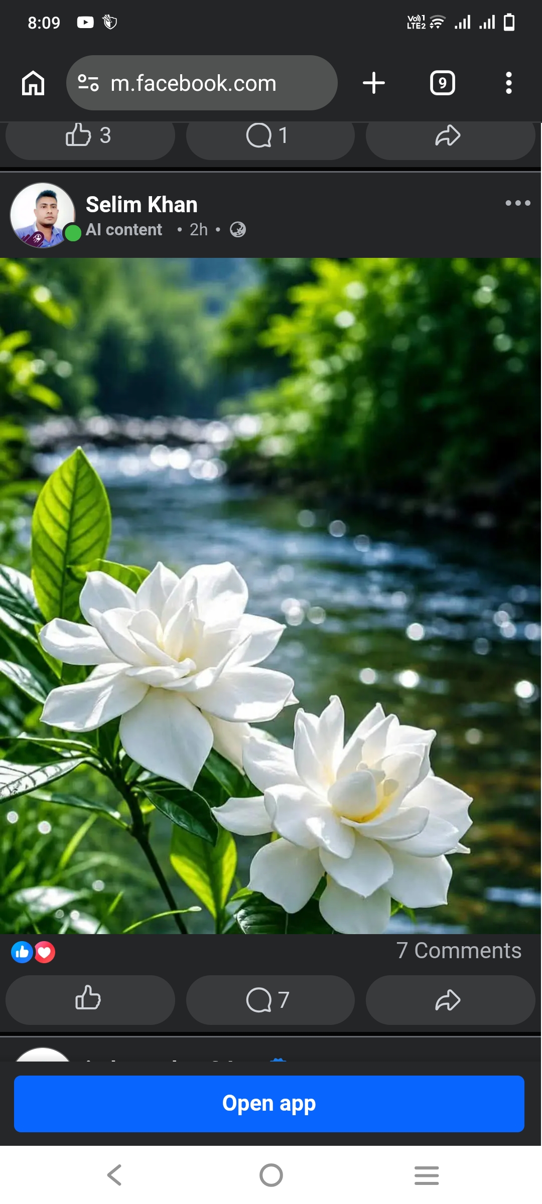 aa